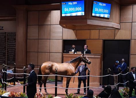fasig tipton sale results
